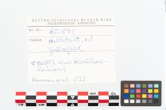 Etikett zu Hirschgeweihhammer (NHMW-PRAE-085891)